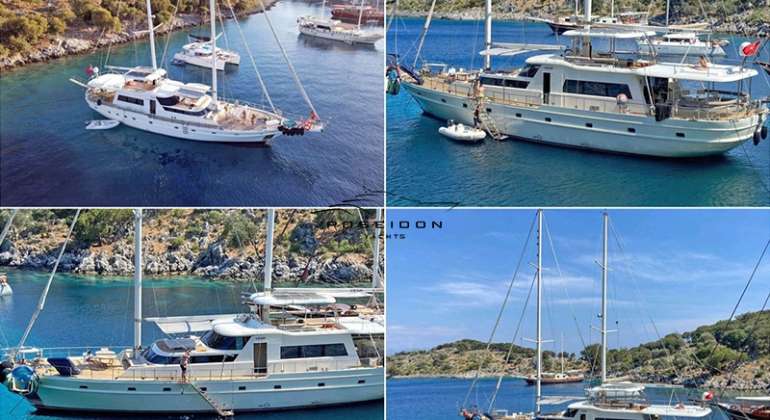 Vega Gulet